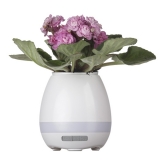 Caixa de Som Vaso com Sensor e Bluetooth Brindes Personalizados